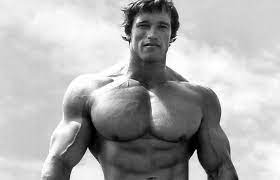 Arnold Schwarzenegger net worth 