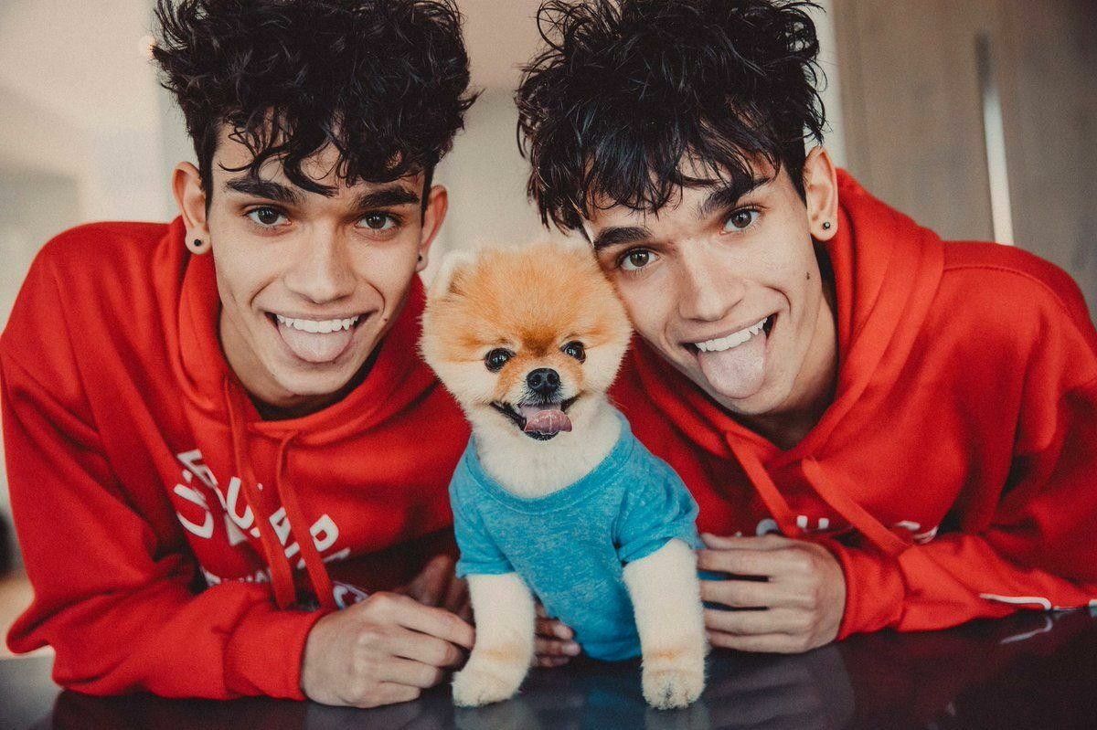 Dobre Brothers Net Worth