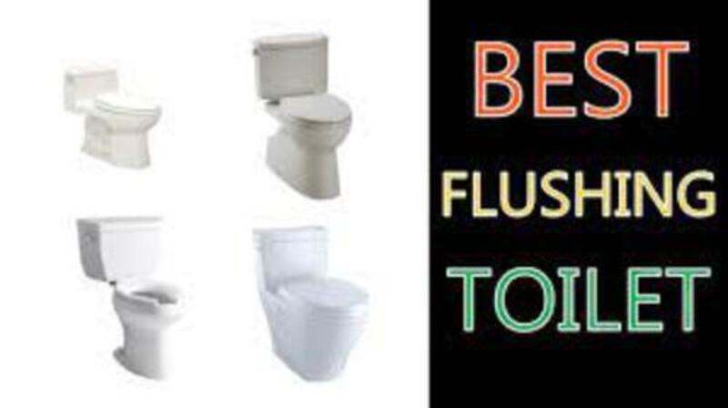 Flushing toilet