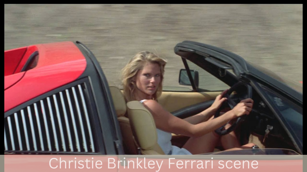 Christie Brinkley net worth (2)