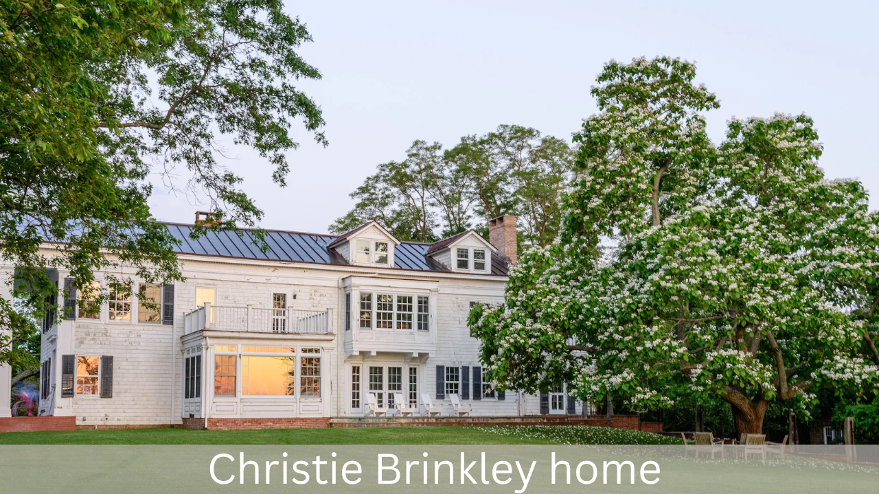 Christie Brinkley net worth (3)