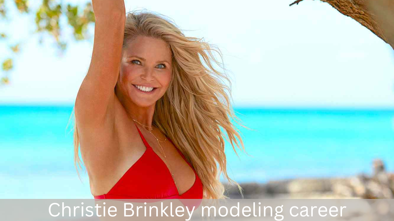 Christie Brinkley net worth (5)